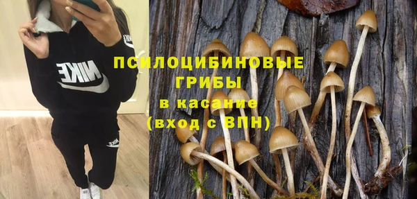 дживик Абинск