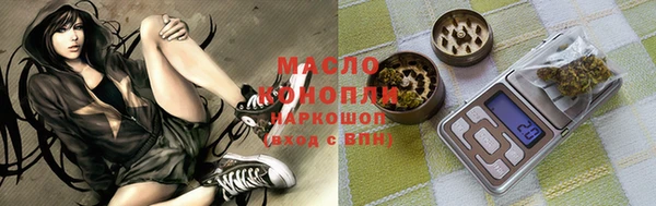 дживик Абинск