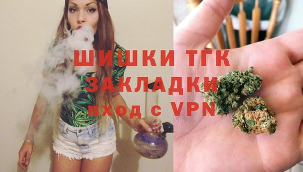 дживик Абинск